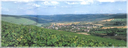 Markelsheim