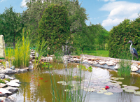 Blick auf unseren Garten mit Teich